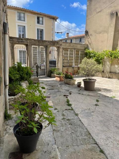 Le Patio Cathare Διαμέρισμα Καρκασόν Εξωτερικό φωτογραφία